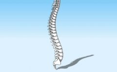 夜間腰背痛要重視，當心是脊柱腫瘤前兆